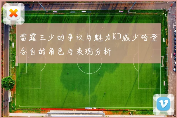 雷霆三少的争议与魅力KD威少哈登各自的角色与表现分析