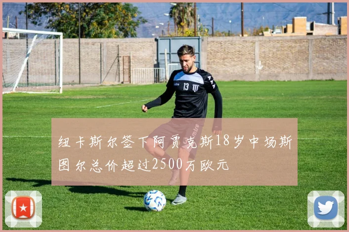 纽卡斯尔签下阿贾克斯18岁中场斯图尔总价超过2500万欧元